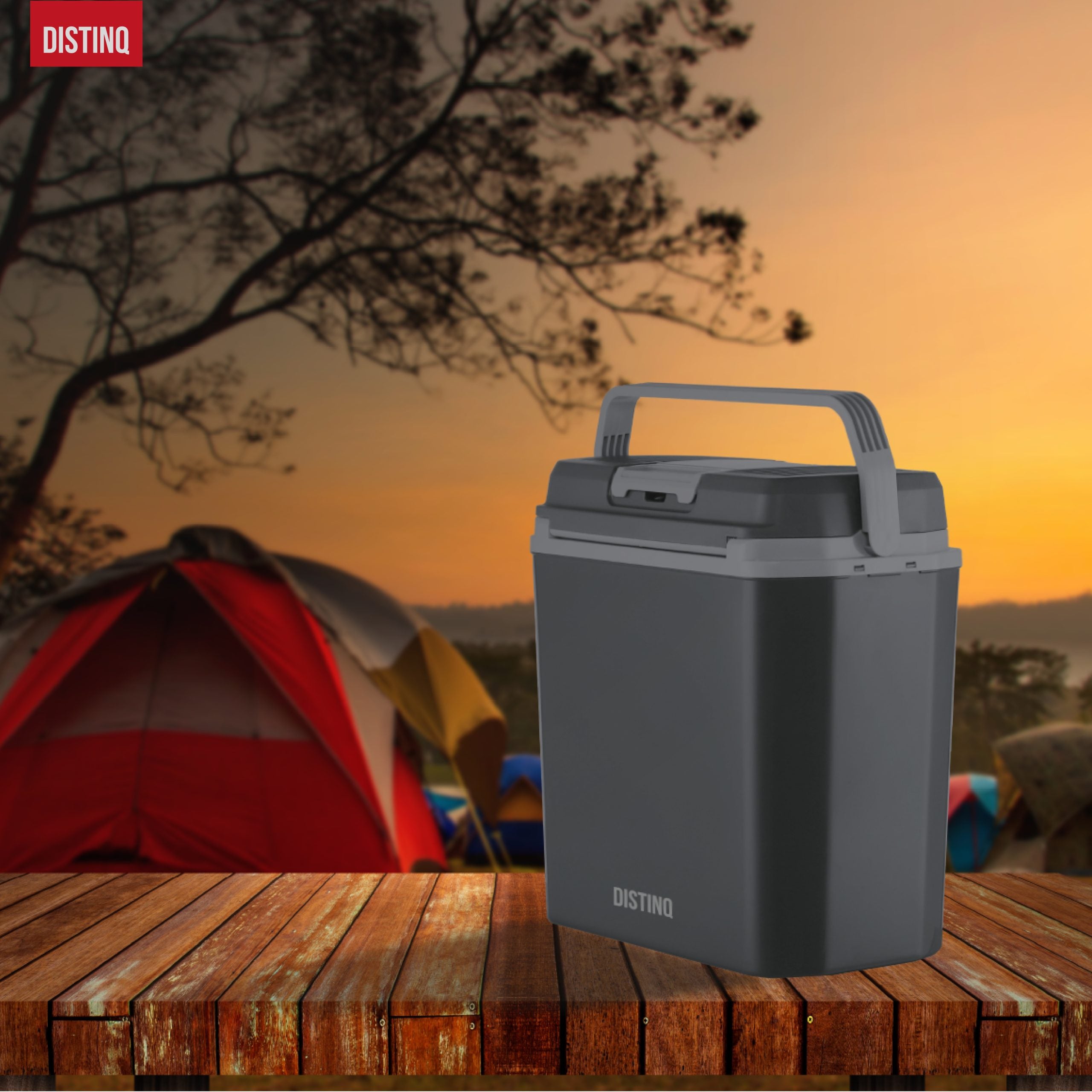 DistinQ Electric Cool Box 20L